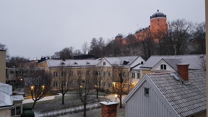 Vinterutsikt mot slottet